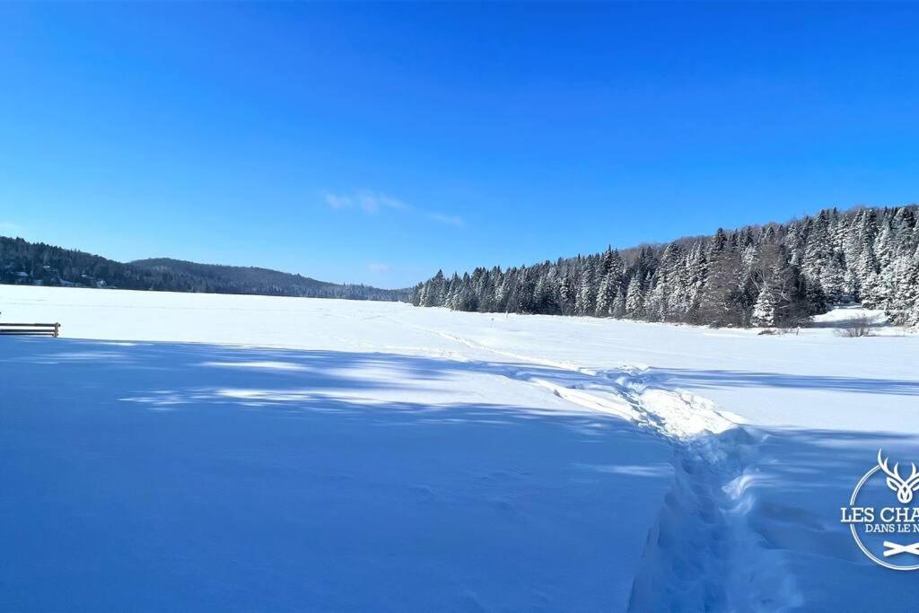 Le1613 - Bord De L'Eau - Les Chalets Dans Le Nord Val-David Exterior photo